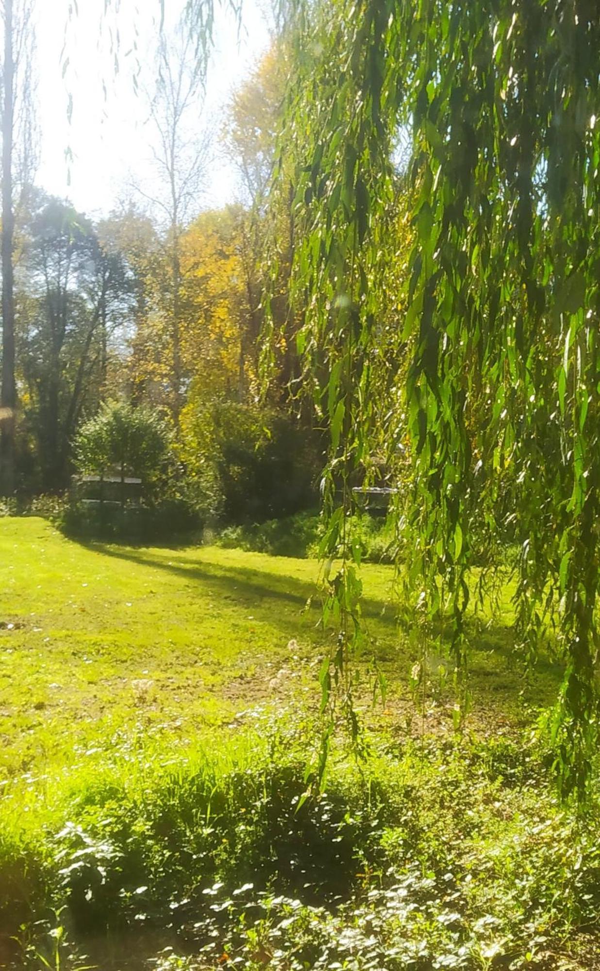Domaine De La Barde In The Old Walnut Mill And Forge Le Bugue